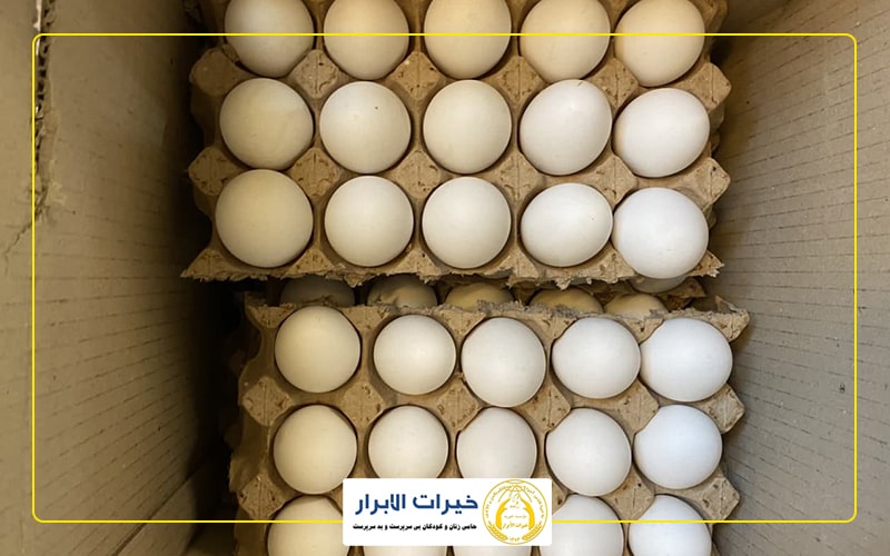 تخم مرغ ارزاق ماهانه